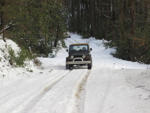 Jeep on Old Coleman River Road.